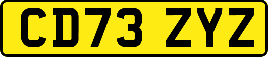 CD73ZYZ