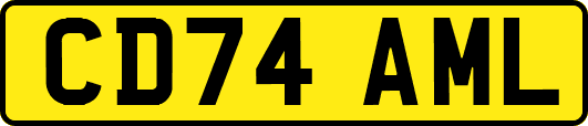 CD74AML