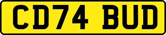 CD74BUD