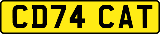 CD74CAT