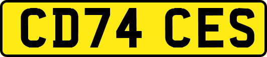 CD74CES
