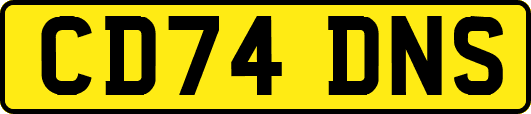 CD74DNS