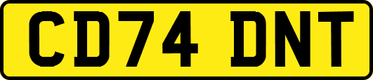 CD74DNT