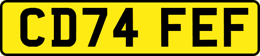 CD74FEF