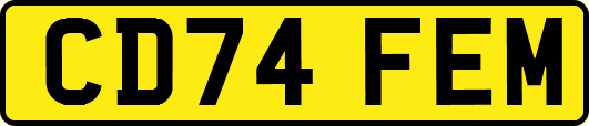 CD74FEM