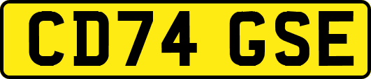 CD74GSE