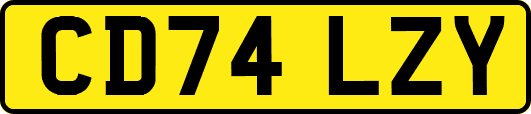 CD74LZY
