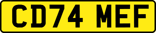 CD74MEF