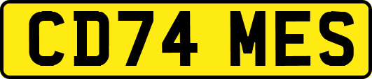 CD74MES
