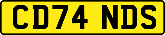 CD74NDS
