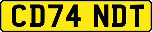 CD74NDT
