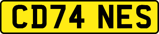CD74NES