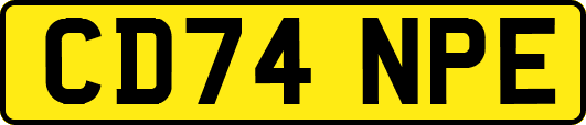 CD74NPE