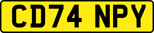 CD74NPY