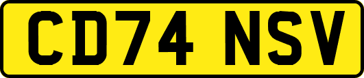 CD74NSV