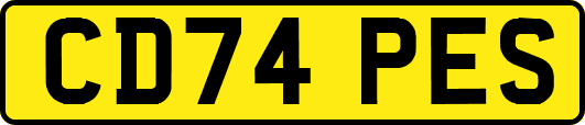 CD74PES