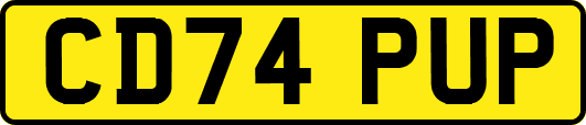 CD74PUP