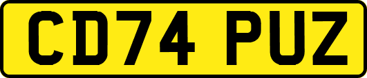 CD74PUZ