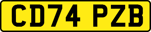 CD74PZB