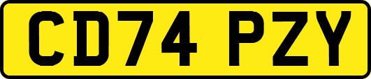 CD74PZY