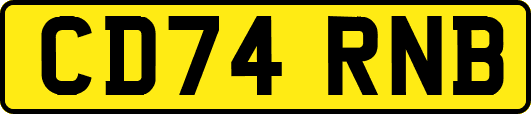 CD74RNB