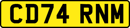 CD74RNM