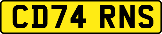 CD74RNS