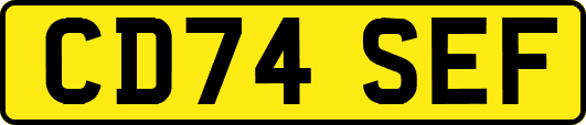 CD74SEF