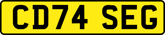 CD74SEG