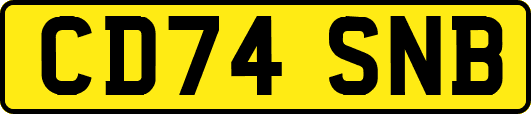 CD74SNB