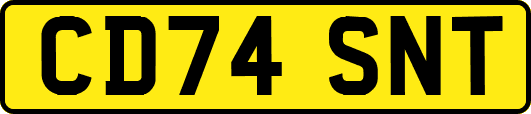 CD74SNT