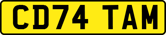 CD74TAM