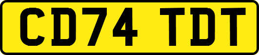CD74TDT