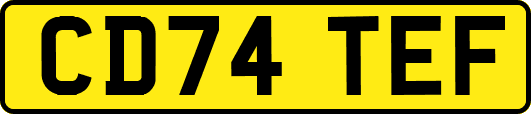 CD74TEF