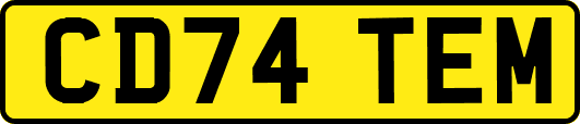 CD74TEM