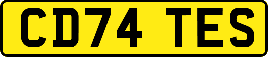 CD74TES
