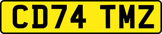 CD74TMZ