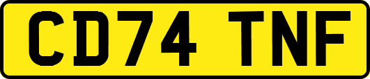 CD74TNF
