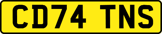 CD74TNS