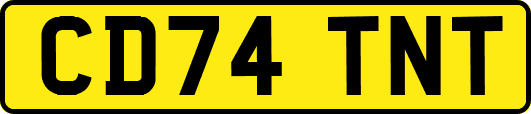 CD74TNT