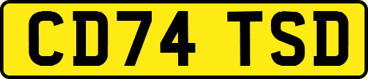 CD74TSD