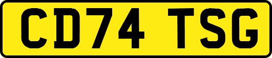 CD74TSG
