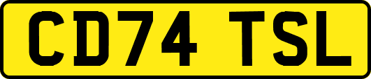 CD74TSL
