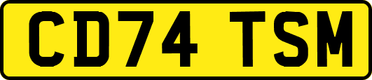 CD74TSM