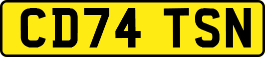 CD74TSN