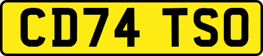 CD74TSO