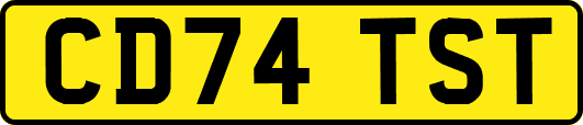 CD74TST