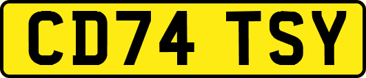 CD74TSY