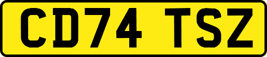 CD74TSZ