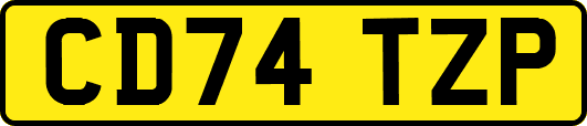 CD74TZP